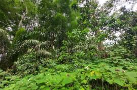 Development Land (Residential) for Sale in Red Hills