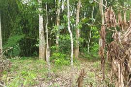 Development Land (Residential) for Sale in Red Hills