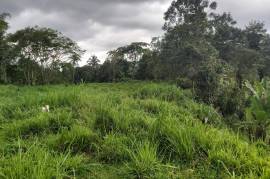 Development Land (Residential) for Sale in Red Hills