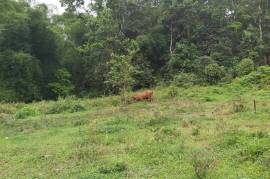 Development Land (Residential) for Sale in Red Hills