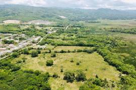 Development Land (Residential) for Sale in Black River