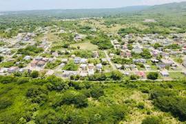 Development Land (Residential) for Sale in Black River