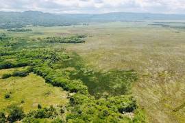 Development Land (Residential) for Sale in Black River