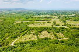 Development Land (Residential) for Sale in Black River