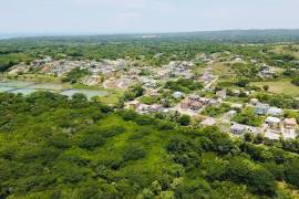 Development Land (Residential) for Sale in Black River