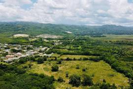 Development Land (Residential) for Sale in Black River