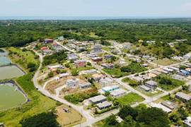 Development Land (Residential) for Sale in Black River