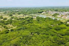 Development Land (Residential) for Sale in Black River