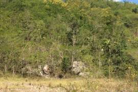 Development Land (Residential) for Sale in Spanish Town