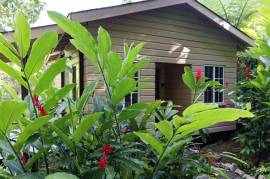 Development Land (Residential) for Sale in Fellowship