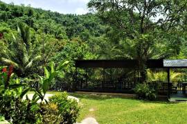 Development Land (Residential) for Sale in Fellowship