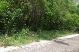 Development Land (Residential) for Sale in Negril