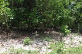 Development Land (Residential) for Sale in Negril