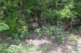 Development Land (Residential) for Sale in Negril