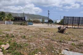 Development Land (Residential) for Sale in Kingston 5