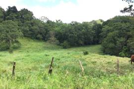 Development Land (Residential) for Sale in Bamboo