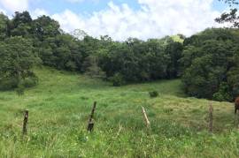 Development Land (Residential) for Sale in Bamboo