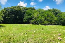 Development Land (Residential) for Sale in Adelphi