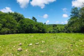 Development Land (Residential) for Sale in Adelphi