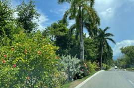 Development Land (Residential) for Sale in Montego Bay