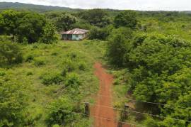 Development Land (Residential) for Sale in Denbigh