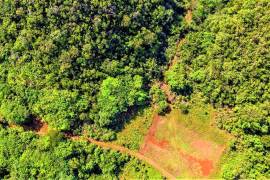 Development Land (Residential) for Sale in Chapleton