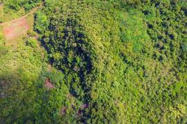 Development Land (Residential) for Sale in Chapleton