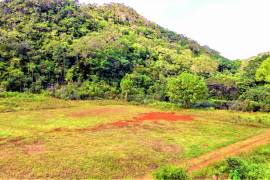 Development Land (Residential) for Sale in Chapleton