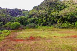 Development Land (Residential) for Sale in Chapleton