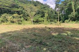 Development Land (Residential) for Sale in Petersfield