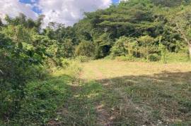 Development Land (Residential) for Sale in Petersfield