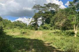 Development Land (Residential) for Sale in Petersfield