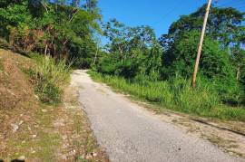 Development Land (Residential) for Sale in Runaway Bay