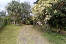Development Land (Residential) for Sale in Linstead