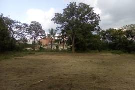 Development Land (Residential) for Sale in Linstead