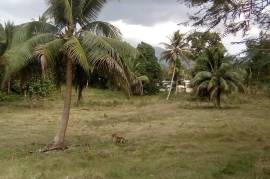 Development Land (Residential) for Sale in Linstead