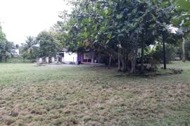 Development Land (Residential) for Sale in Linstead