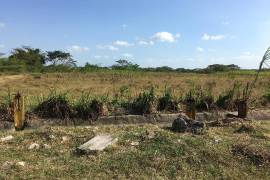 Development Land (Residential) for Sale in Osbourne Store