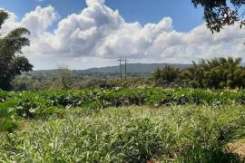 Development Land (Residential) for Sale in Blackstonedge