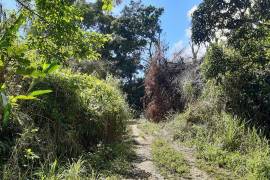 Development Land (Residential) for Sale in Blackstonedge