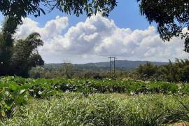 Development Land (Residential) for Sale in Blackstonedge