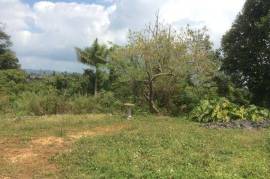 Development Land (Residential) for Sale in Mandeville