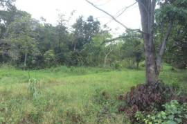 Development Land (Residential) for Sale in Mandeville