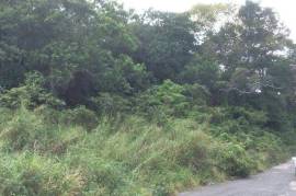 Development Land (Residential) for Sale in Mandeville