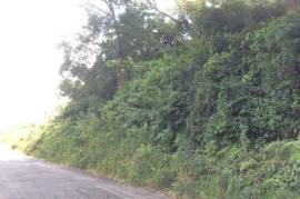 Development Land (Residential) for Sale in Mandeville