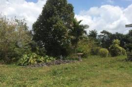 Development Land (Residential) for Sale in Mandeville