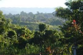 Development Land (Residential) for Sale in Mandeville