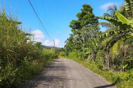 Development Land (Residential) for Sale in Free Hill