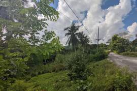 Development Land (Residential) for Sale in Free Hill