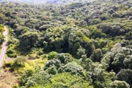 Development Land (Residential) for Sale in Free Hill